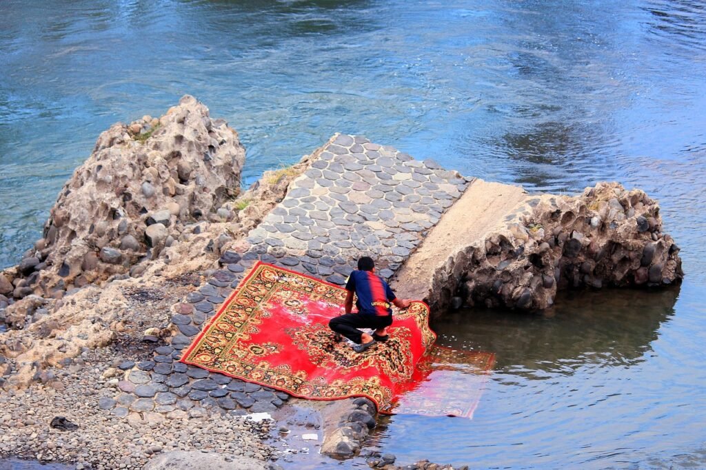 carpet, washing, hand wash, river, wash, clean, home, cleaner, cleaning, rug, blue home, blue river, blue clean, carpet, cleaner, rug, rug, rug, rug, rug